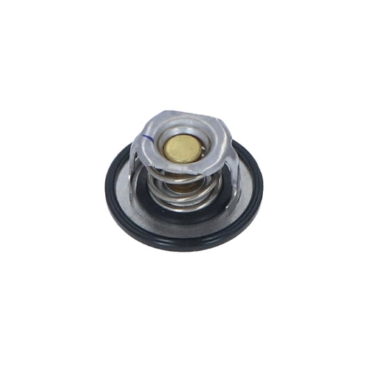 725080 Thermostat, coolant