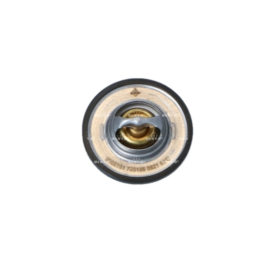 725156 Thermostat, coolant