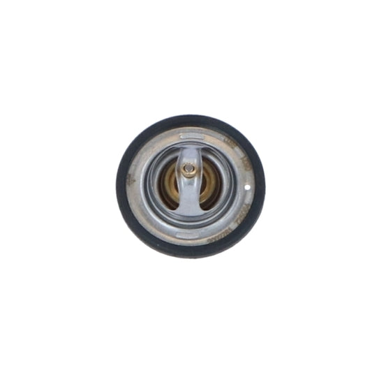 725064 Thermostat, coolant