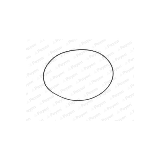 PA708 Seal ring, cylinder liner