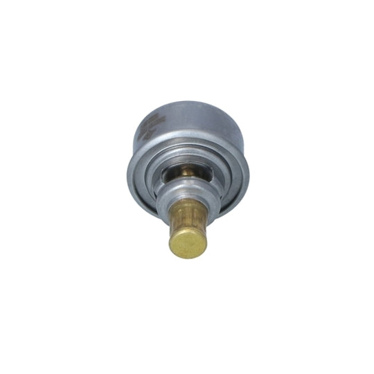725254 Thermostat, coolant