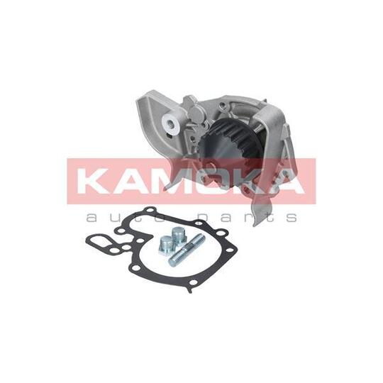 T0243 Water Pump