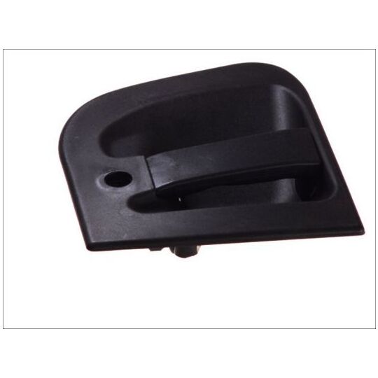 RVI-DH-001R Door Handle