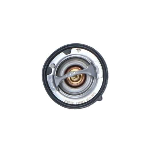 725142 Thermostat, coolant
