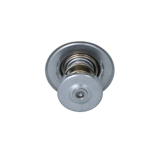 725253 Thermostat, coolant