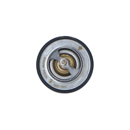 725131 Thermostat, coolant