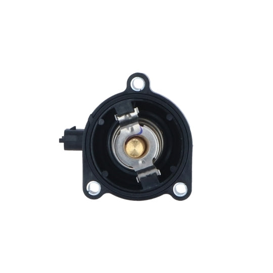 725024 Thermostat, coolant