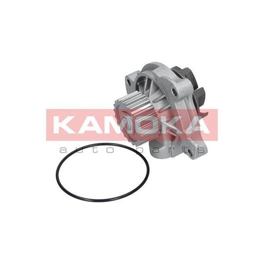 T0042 Water Pump