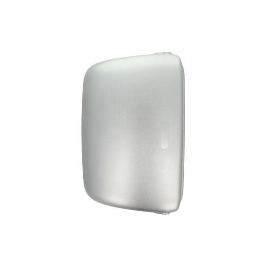 RVI-MR-012 Housing, outside mirror