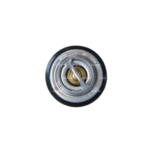 725194 Thermostat, coolant
