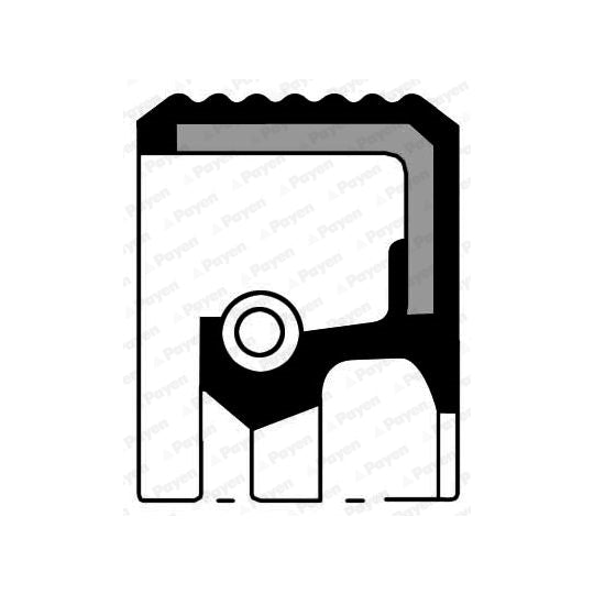 NJ284 Shaft Seal, crankshaft