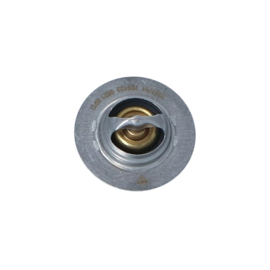 725128 Thermostat, coolant