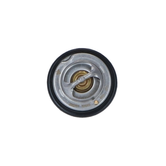 725062 Thermostat, coolant