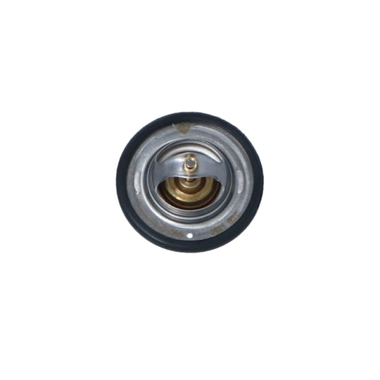 725066 Thermostat, coolant