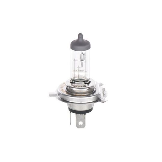 1 987 302 049 Bulb, fog light