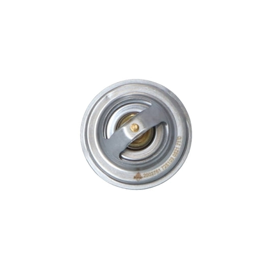 725103 Thermostat, coolant