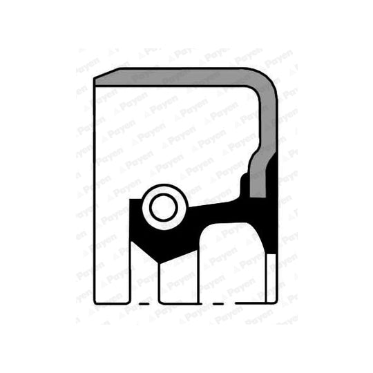 NJ540 Shaft Seal, differential