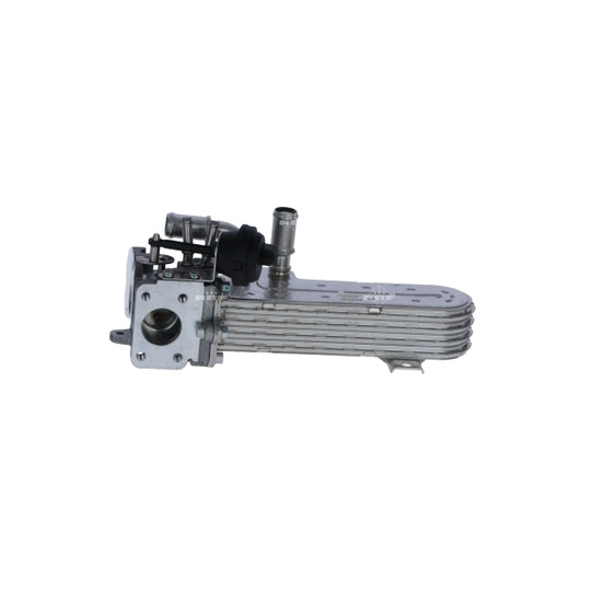 48360 EGR Module