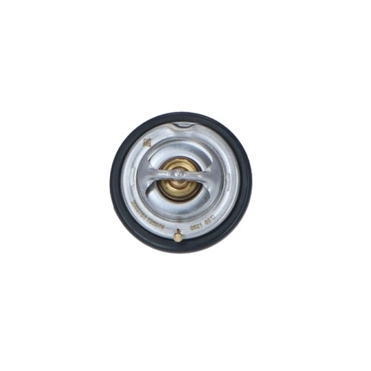 725074 Thermostat, coolant