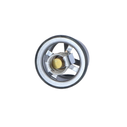 725020 Thermostat, coolant