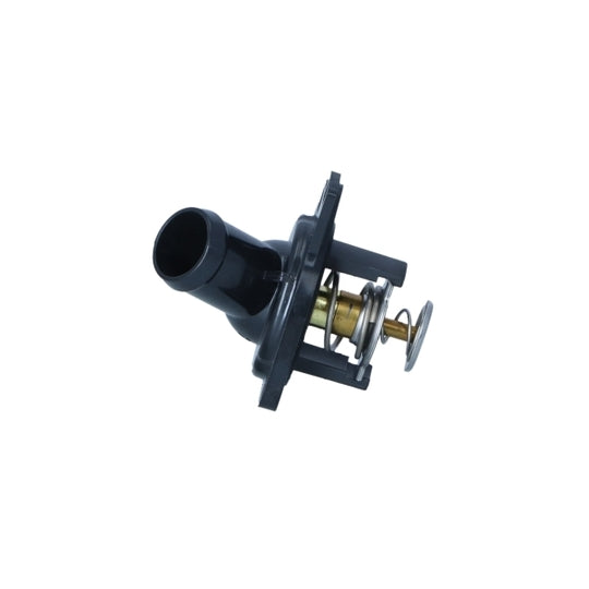 725252 Thermostat, coolant