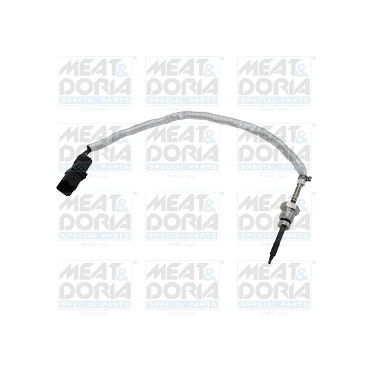 12408 Sensor, exhaust gas temperature