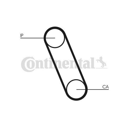 CT561 Timing Belt