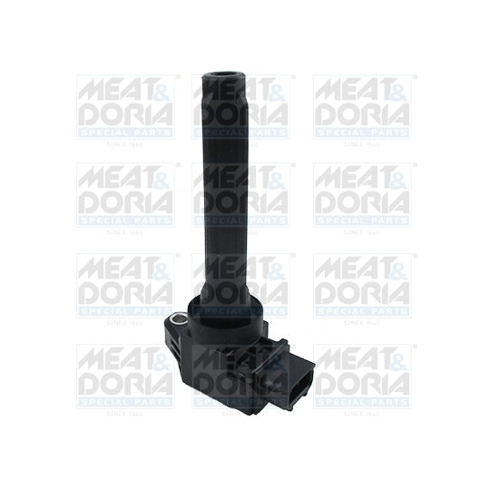 10823 Ignition coil