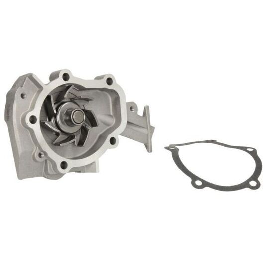 D10001TT Water pump