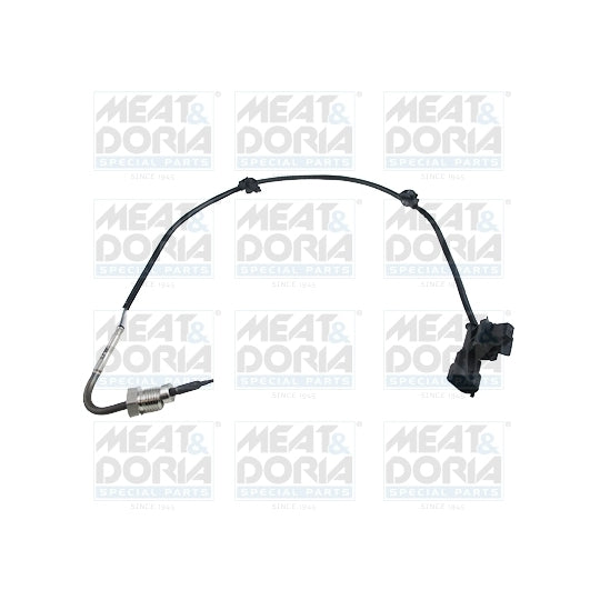 12089E Sensor, exhaust gas temperature