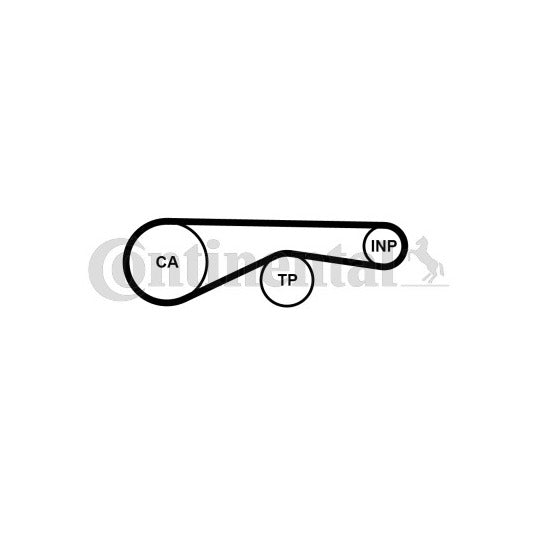 CT1194 Timing Belt