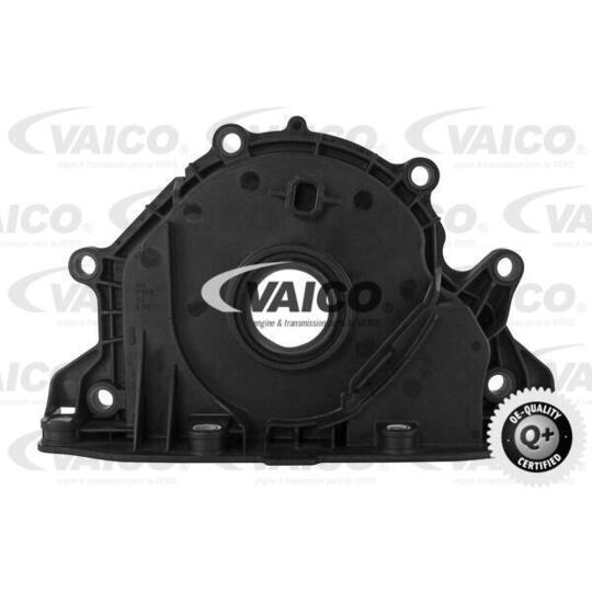 V10-3682 Shaft Seal, crankshaft