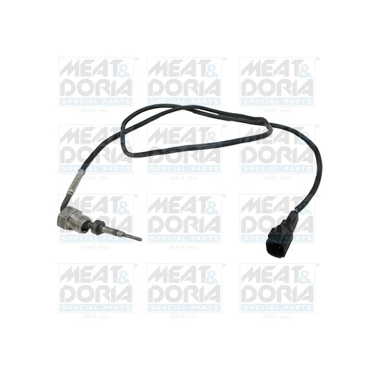 12429 Sensor, exhaust gas temperature