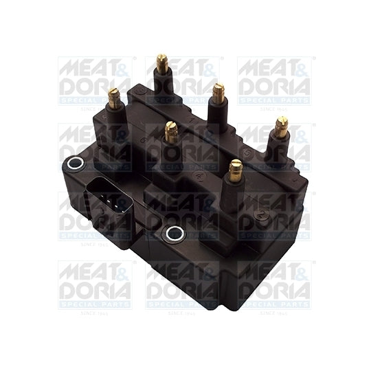 10657 Ignition coil