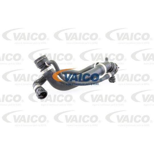 V20-1691 Radiator Hose