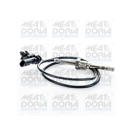 12401 Sensor, exhaust gas temperature