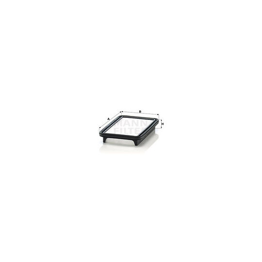 C 24 019 Air filter