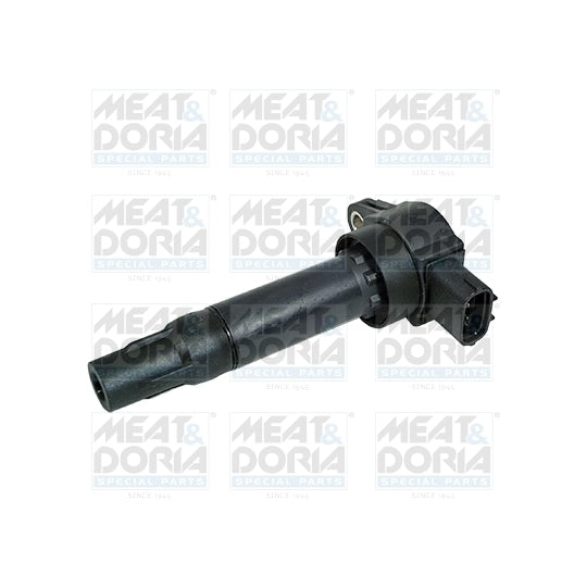 10663 Ignition coil