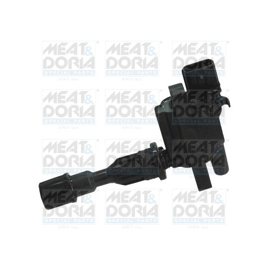 10667 Ignition coil
