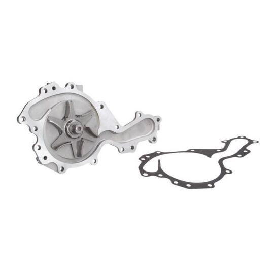 D1R045TT Water pump