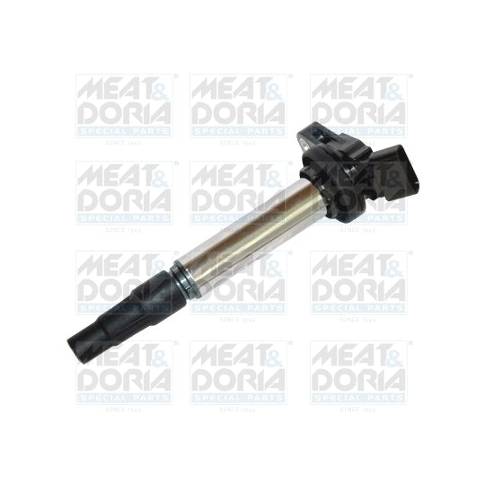 10616 Ignition coil