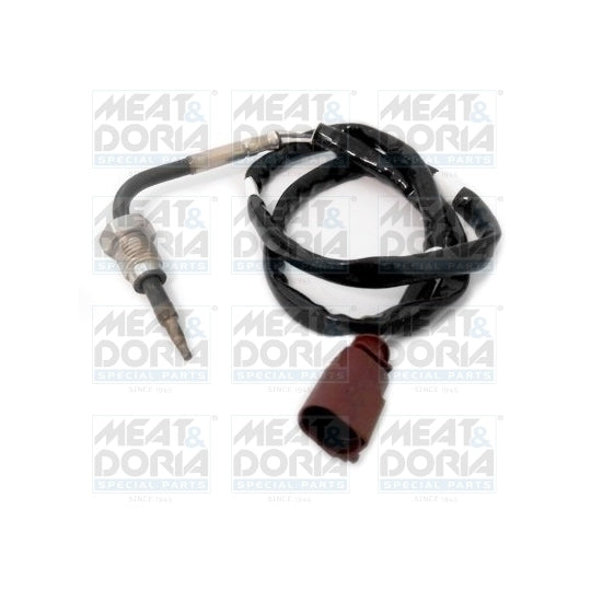 12300 Sensor, exhaust gas temperature