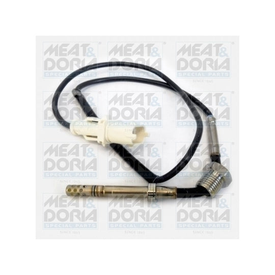 12146 Sensor, exhaust gas temperature