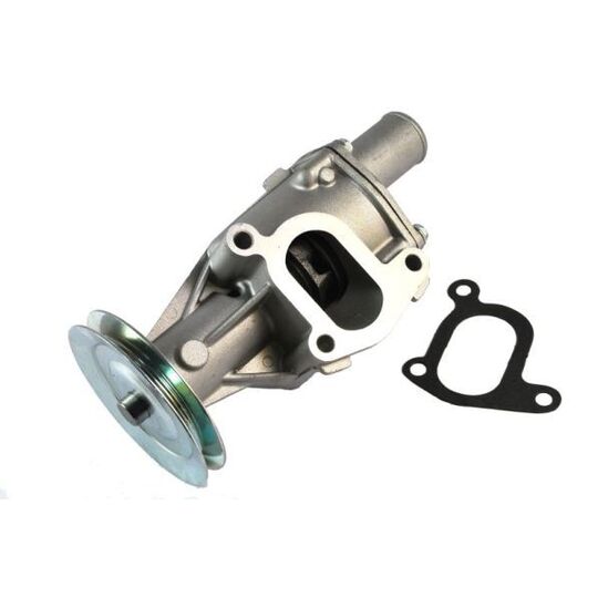D1F045TT Water pump