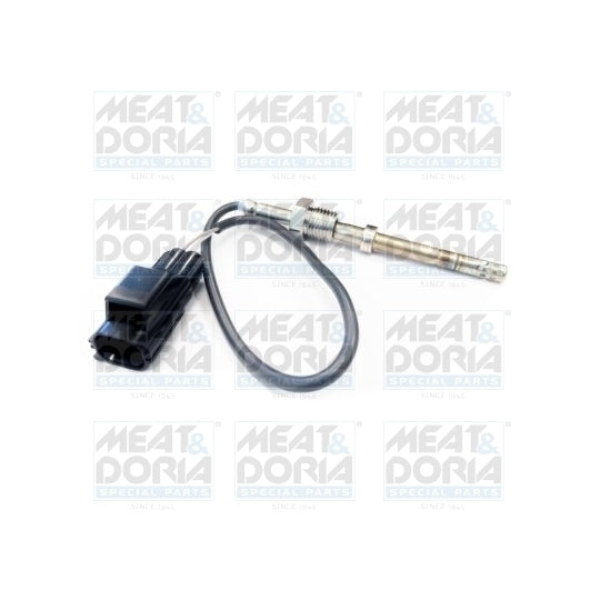 12004 Sensor, exhaust gas temperature