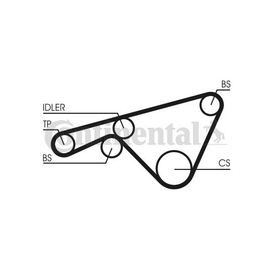 CT925 Timing Belt