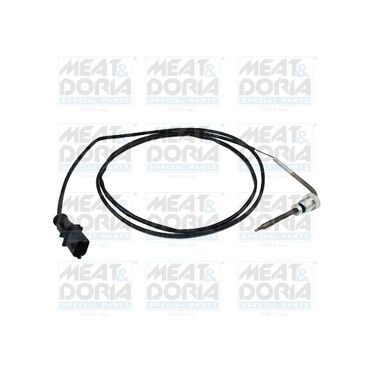 12062E Sensor, exhaust gas temperature