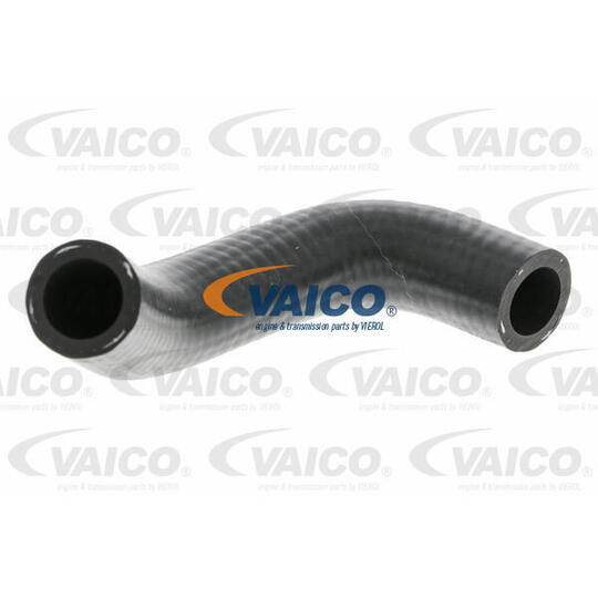 V10-9884 Radiator Hose