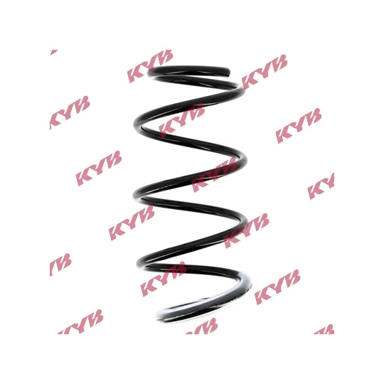 RG1001 Coil Spring