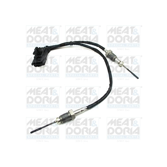 12448 Sensor, exhaust gas temperature